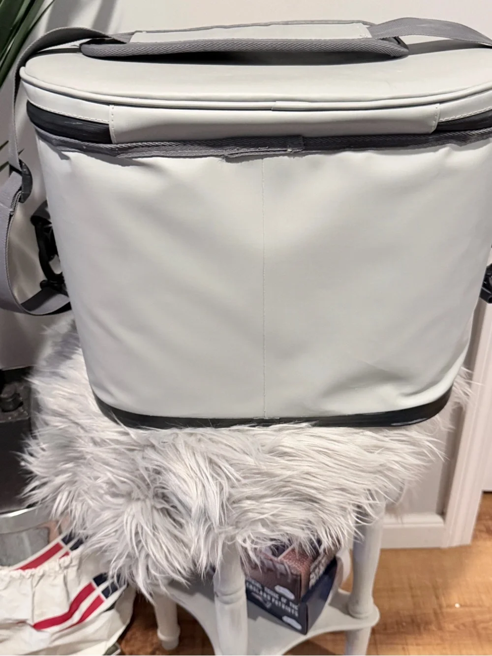 White & Blue Soft-Side Camera Bag with Adjustable Strap